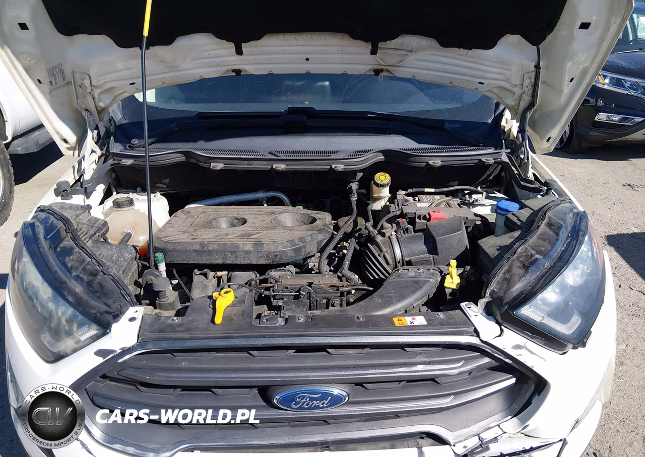 2018 Ford Ecosport Ses VIN:MAJ6P1CL3JC247844 - 10