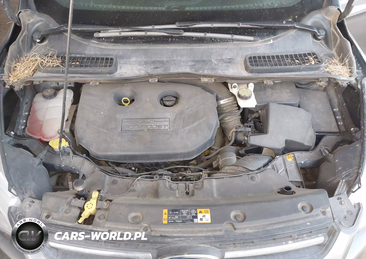 2013 Ford Escape Se VIN:1FMCU0G98DUC46438 - 10
