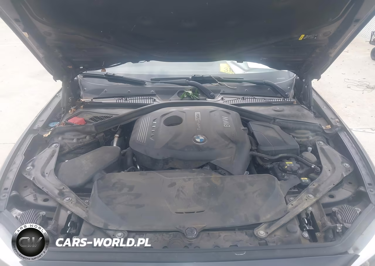 2019 BMW 230I VIN:WBA2M7C53K7D14717 - 10