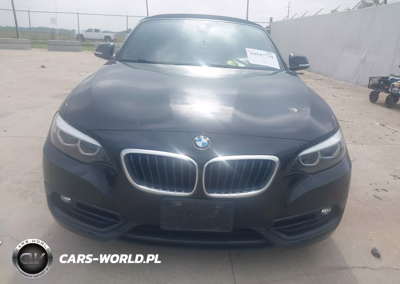 2019 BMW 230I VIN:WBA2M7C53K7D14717 - 12