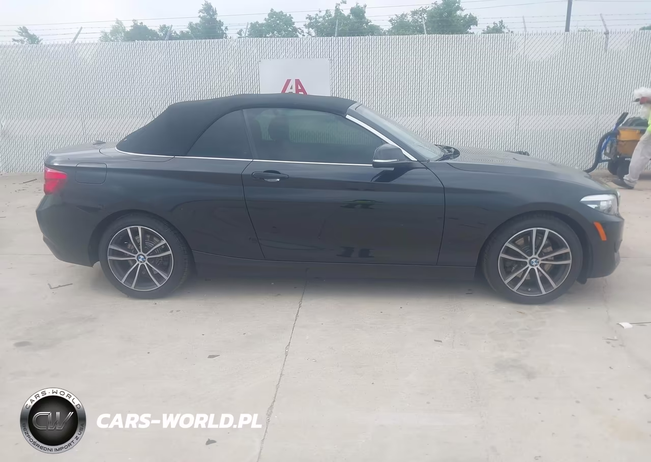 2019 BMW 230I VIN:WBA2M7C53K7D14717 - 13