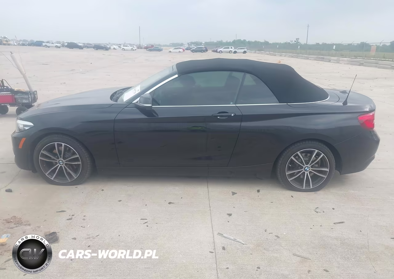 2019 BMW 230I VIN:WBA2M7C53K7D14717 - 14