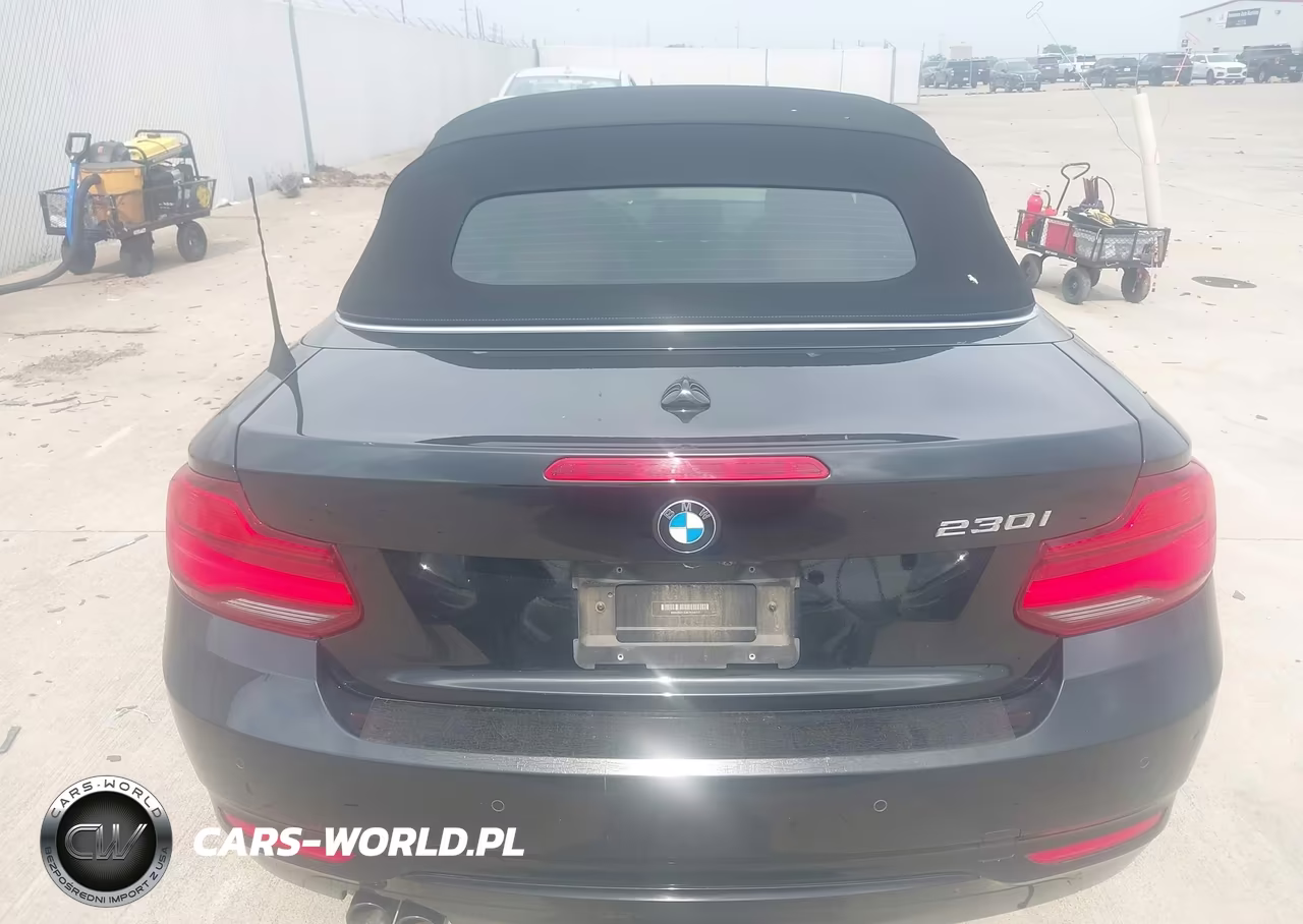 2019 BMW 230I VIN:WBA2M7C53K7D14717 - 16