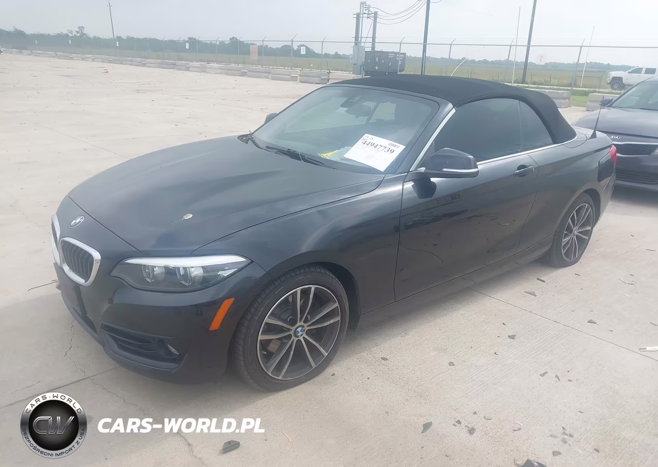 2019 BMW 230I VIN:WBA2M7C53K7D14717 - 2