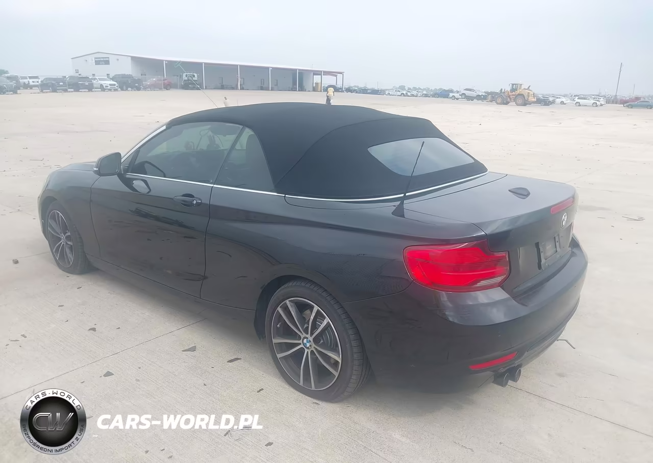 2019 BMW 230I VIN:WBA2M7C53K7D14717 - 3