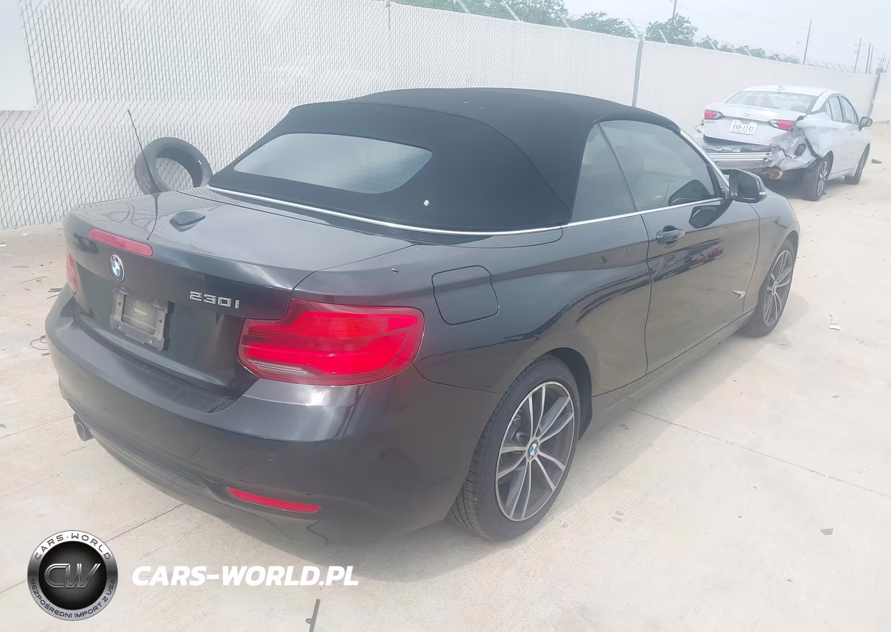 2019 BMW 230I VIN:WBA2M7C53K7D14717 - 4