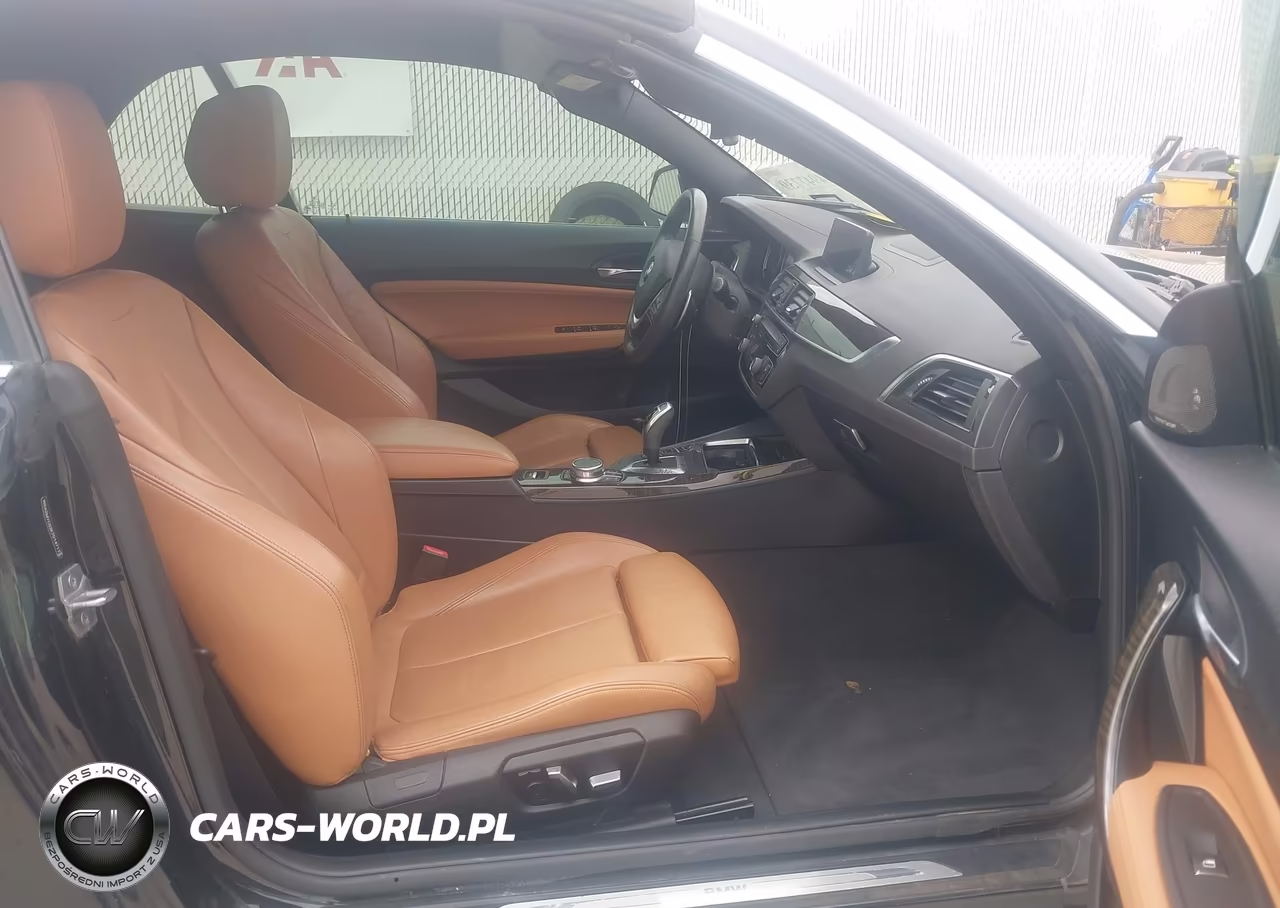 2019 BMW 230I VIN:WBA2M7C53K7D14717 - 5