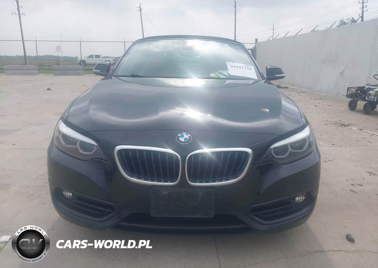 2019 BMW 230I VIN:WBA2M7C53K7D14717 - 6