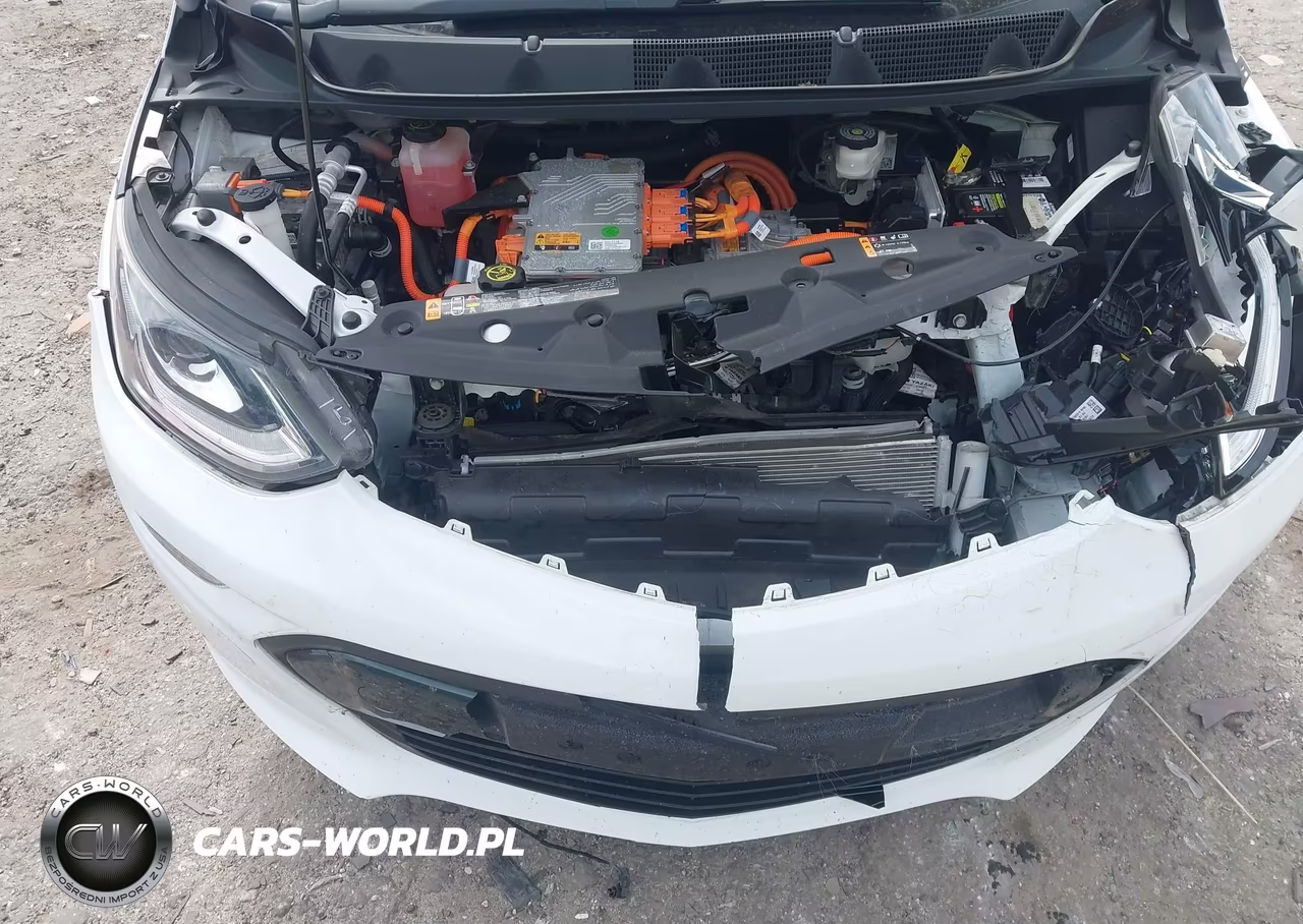 2019 Chevrolet Bolt Ev Premier VIN:1G1FZ6S06K4125167 - 10