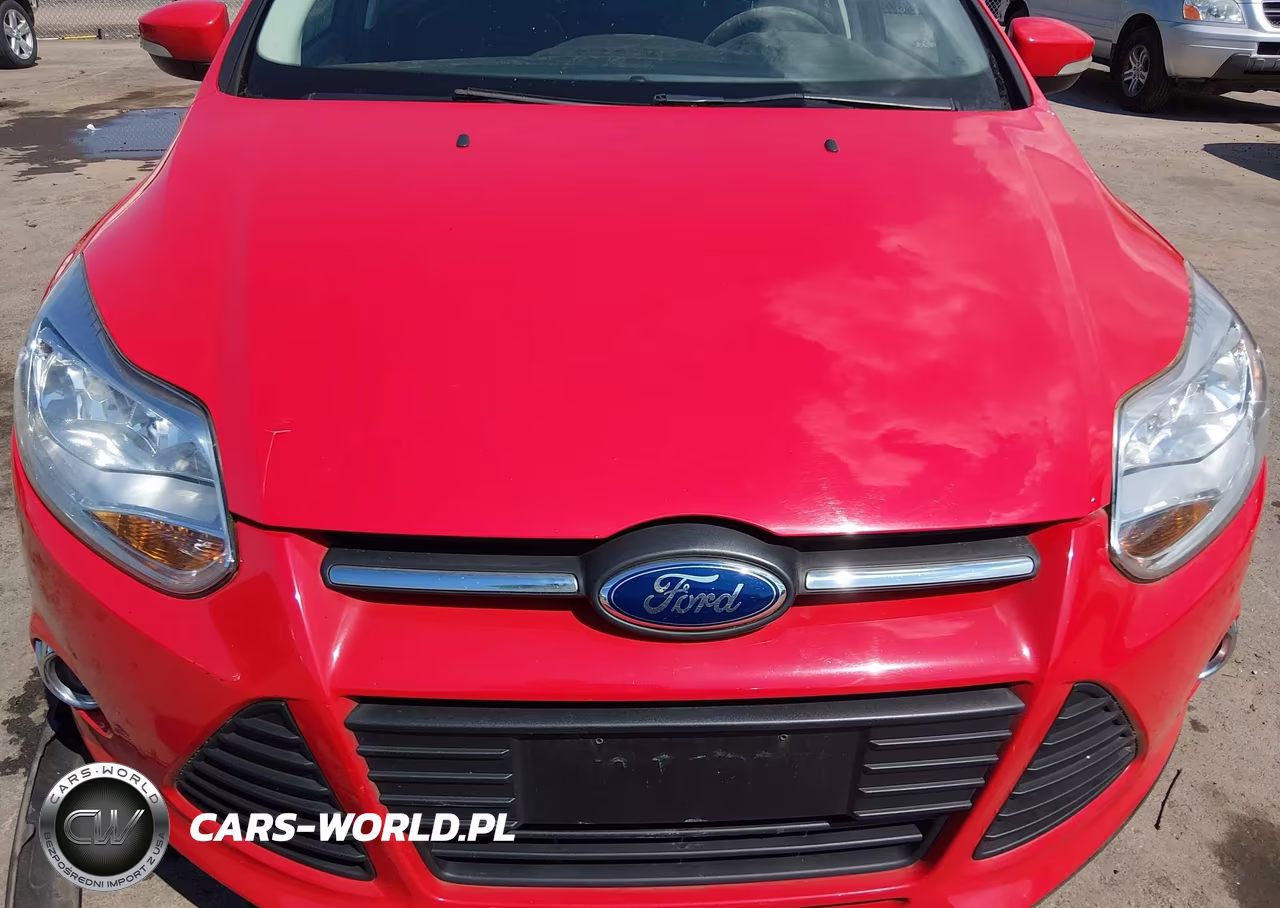 2014 Ford Focus Se VIN:1FADP3K24EL106556 - 10