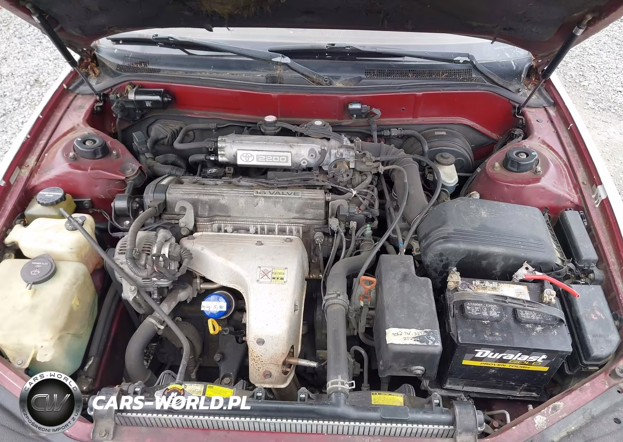 1993 Toyota Camry Xle VIN:4T1SK13E1PU259045 - 10