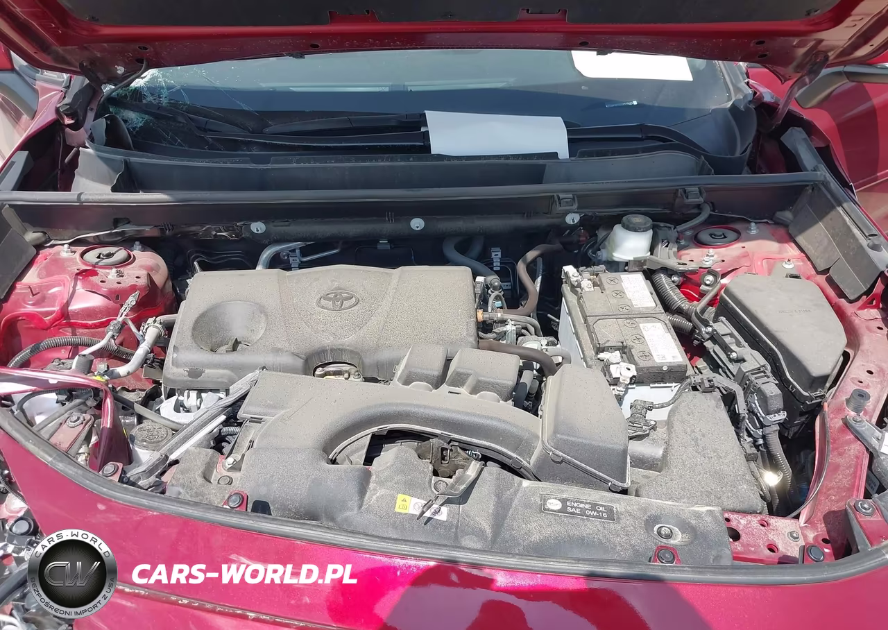 2025 Toyota Rav4 Xle VIN:2T3W1RFV2SW375689 - 10
