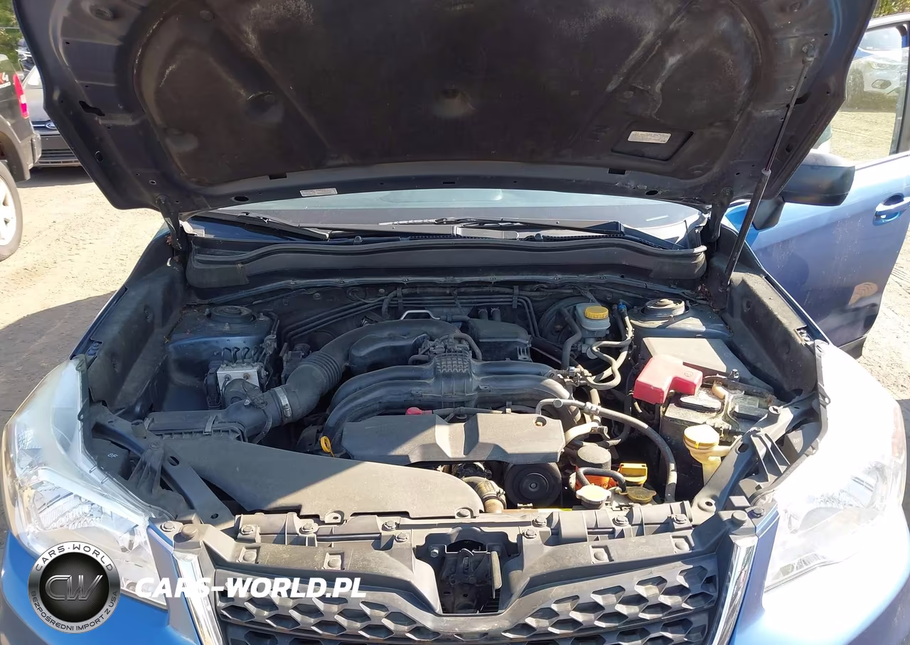 2016 Subaru Forester 2.5I VIN:JF2SJABCXGH483240 - 10