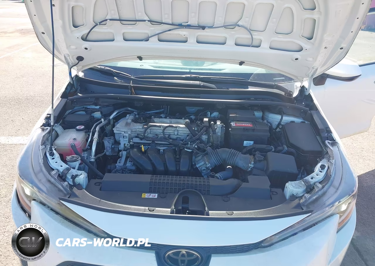 2020 Toyota Corolla Le VIN:JTDVPRAE4LJ094107 - 10
