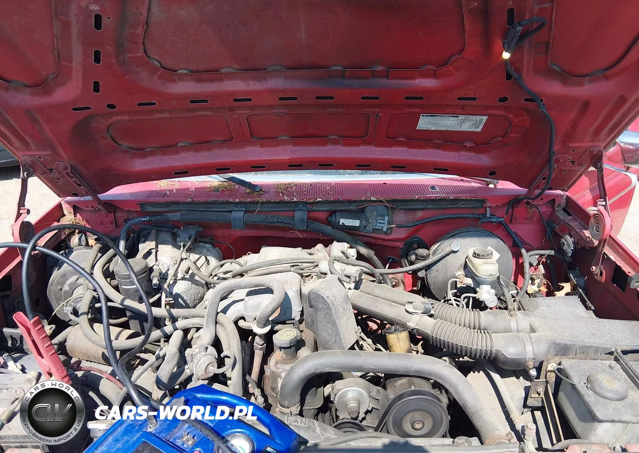 1995 Ford F150 VIN:1FTEF15Y1SNA70525 - 10