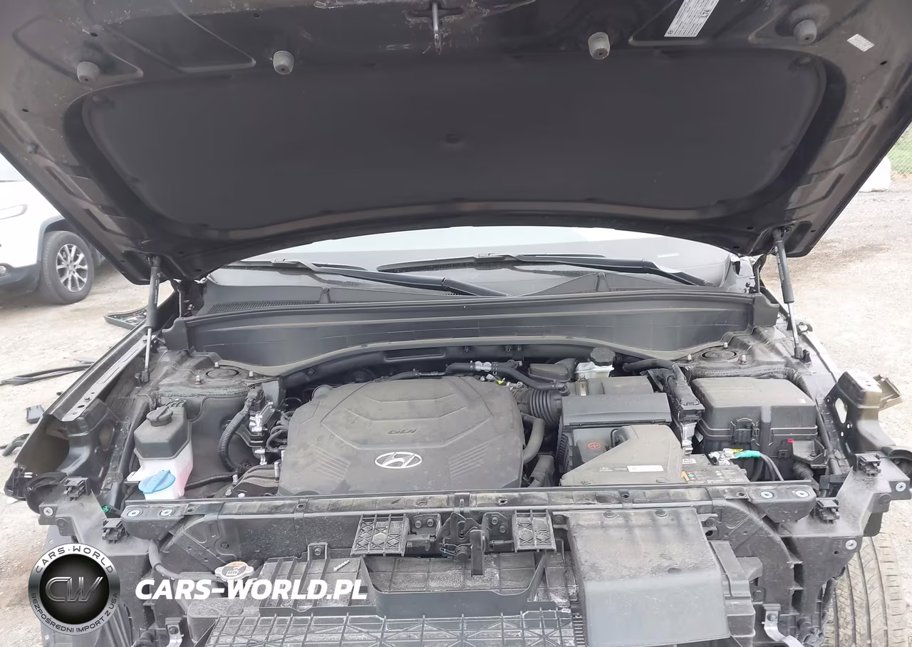 2024 Hyundai Palisade Xrt VIN:KM8R3DGE5RU723304 - 10