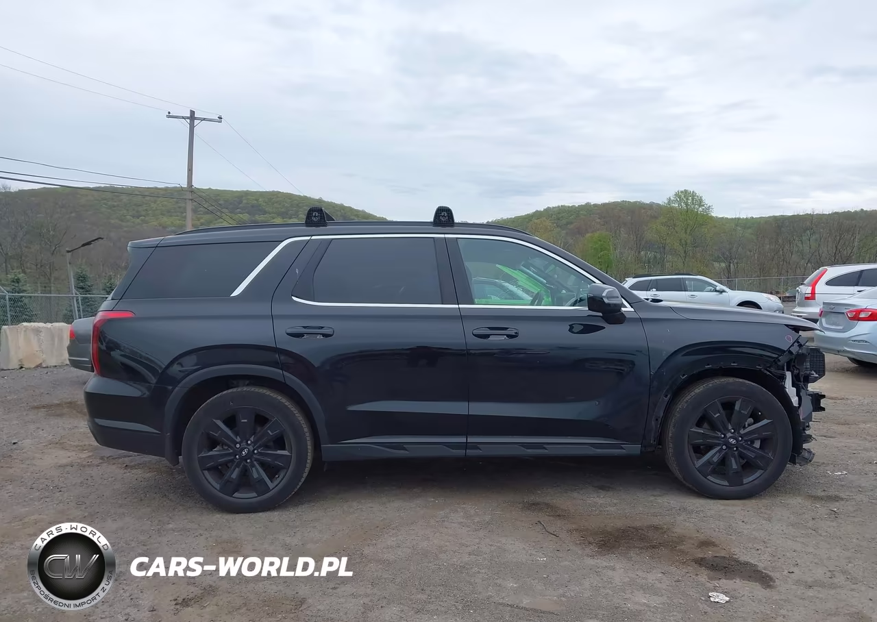 2024 Hyundai Palisade Xrt VIN:KM8R3DGE5RU723304 - 14