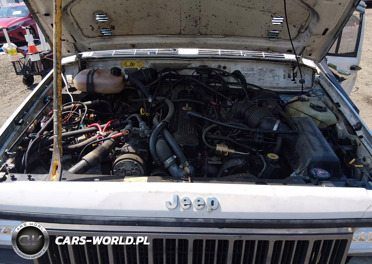 1990 Jeep Cherokee Pioneer VIN:1J4FJ38L3LL225310 - 10
