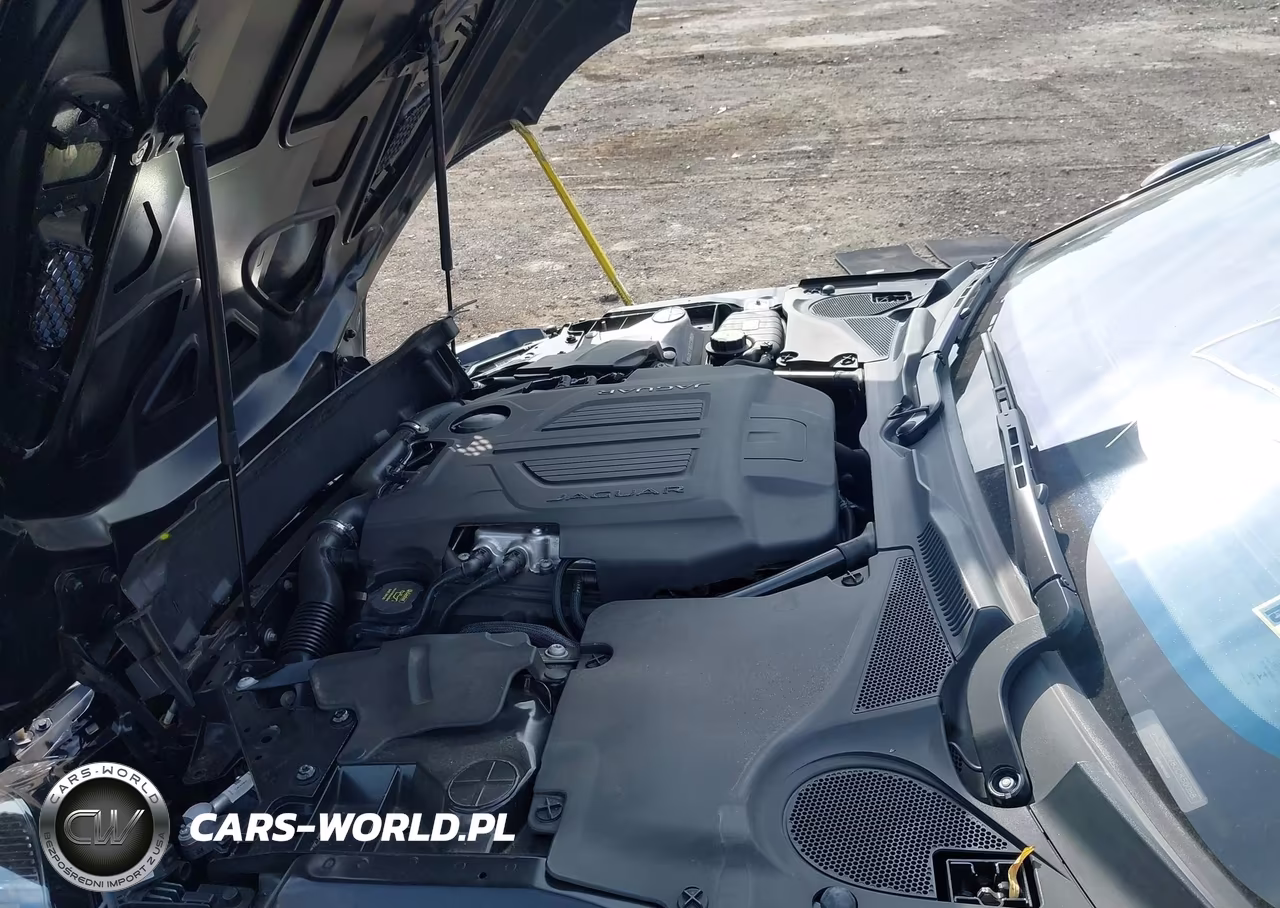 2018 Jaguar F-Type 380Hp VIN:SAJDK1FV8JCK50088 - 10
