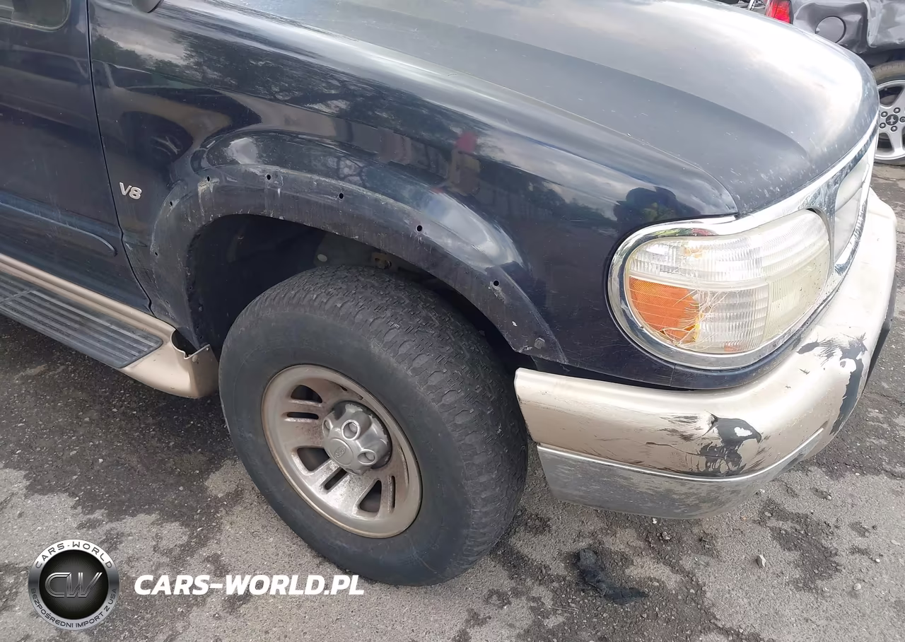 1999 Ford Explorer Eddie Bauer-Limited Edition-Xlt VIN:1FMZU32P5XZA29907 - 6