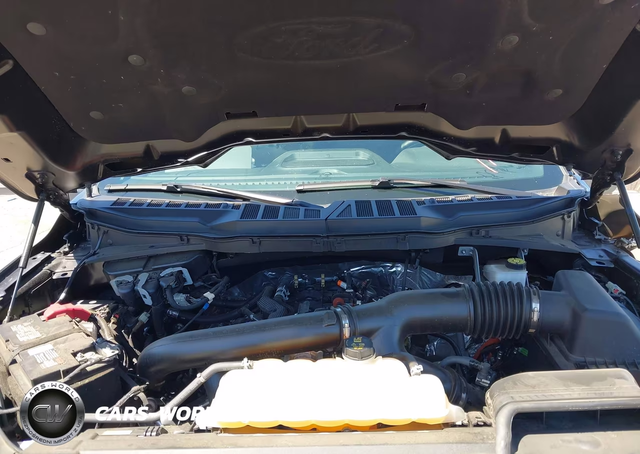 2024 Ford F-150 Xlt VIN:1FTFW3L80RFB82868 - 10
