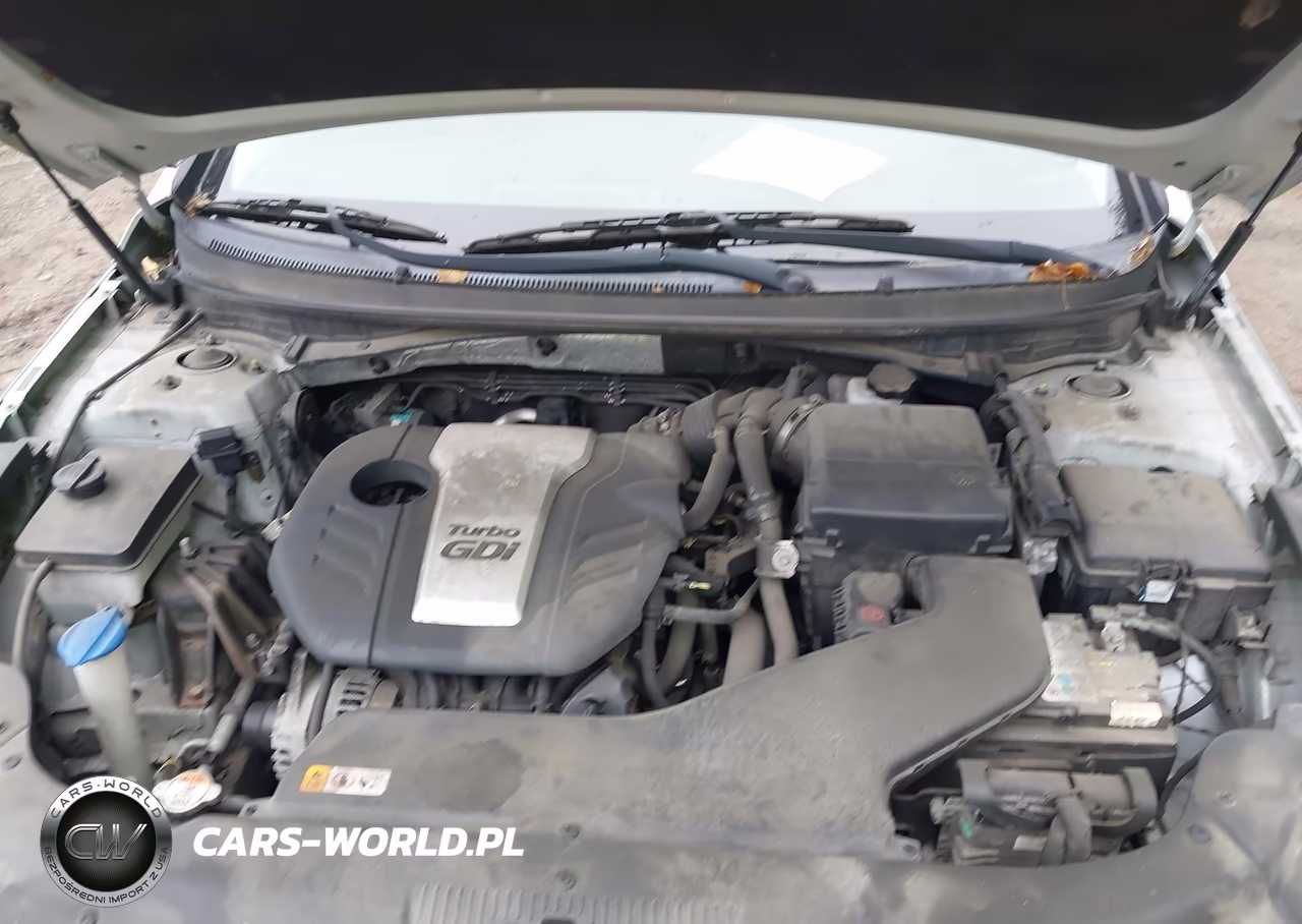 2015 Hyundai Sonata Eco VIN:5NPE24AA0FH158798 - 10