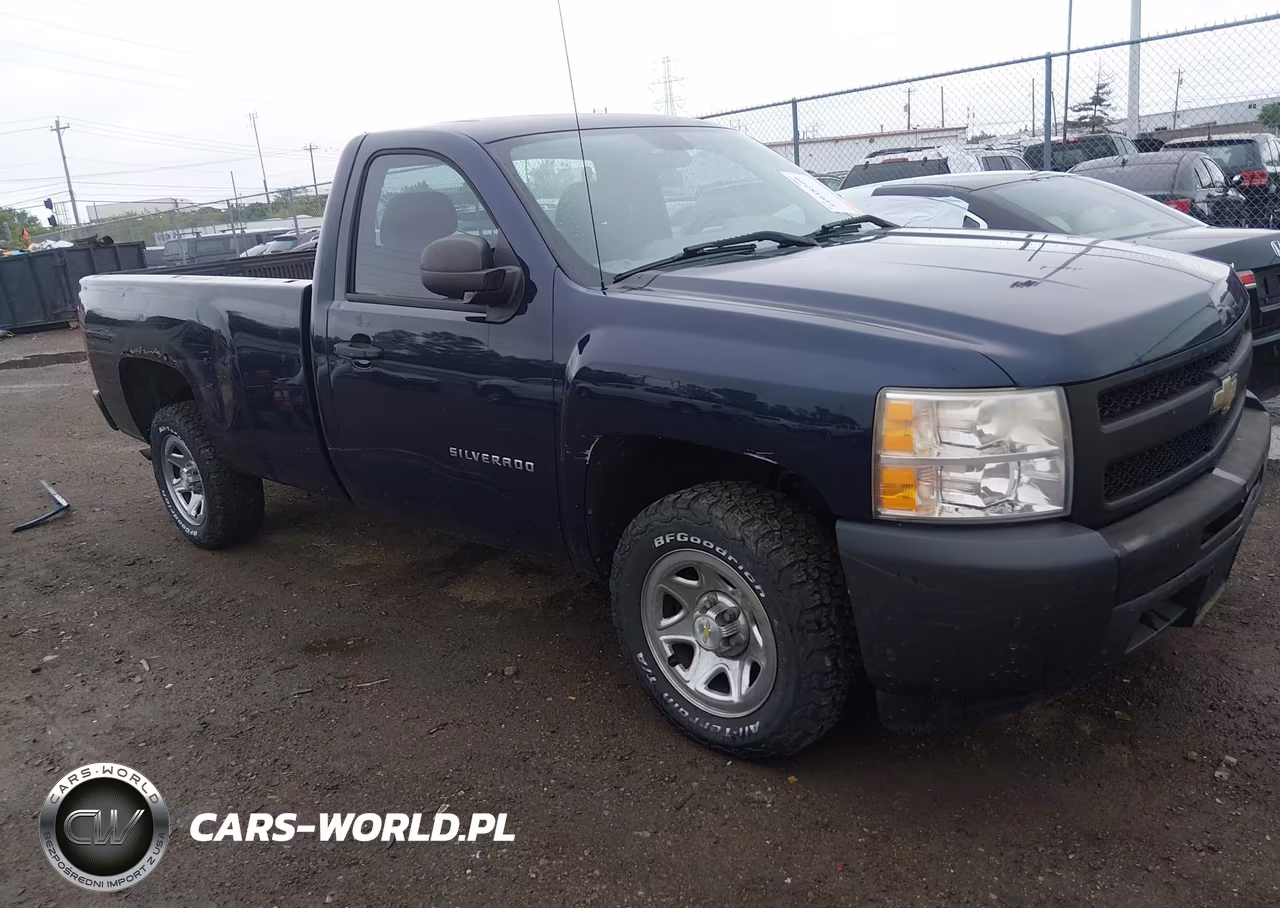 2010 Chevrolet Silverado 1500 Work Truck