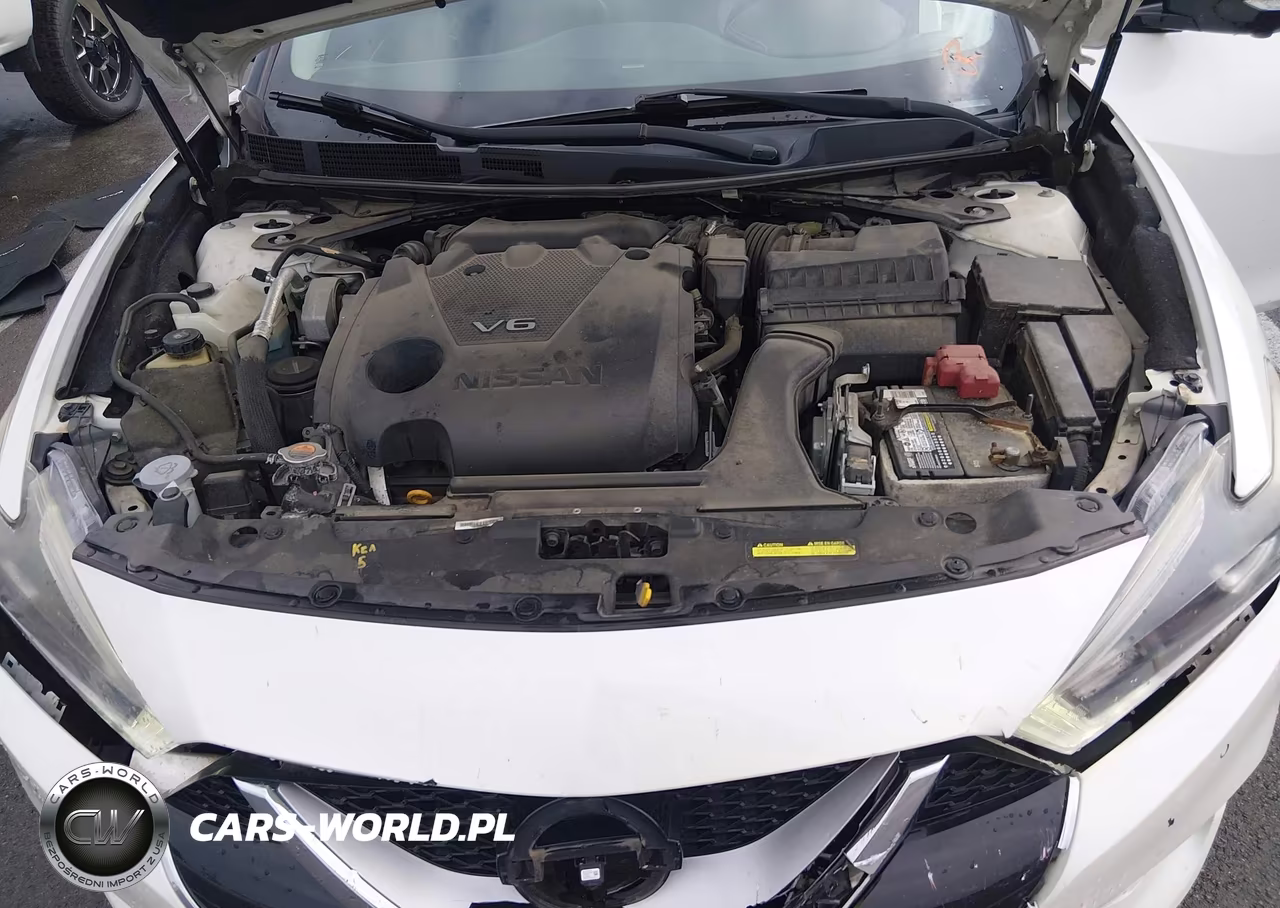 2017 Nissan Maxima 3.5 Platinum VIN:1N4AA6AP8HC408441 - 10