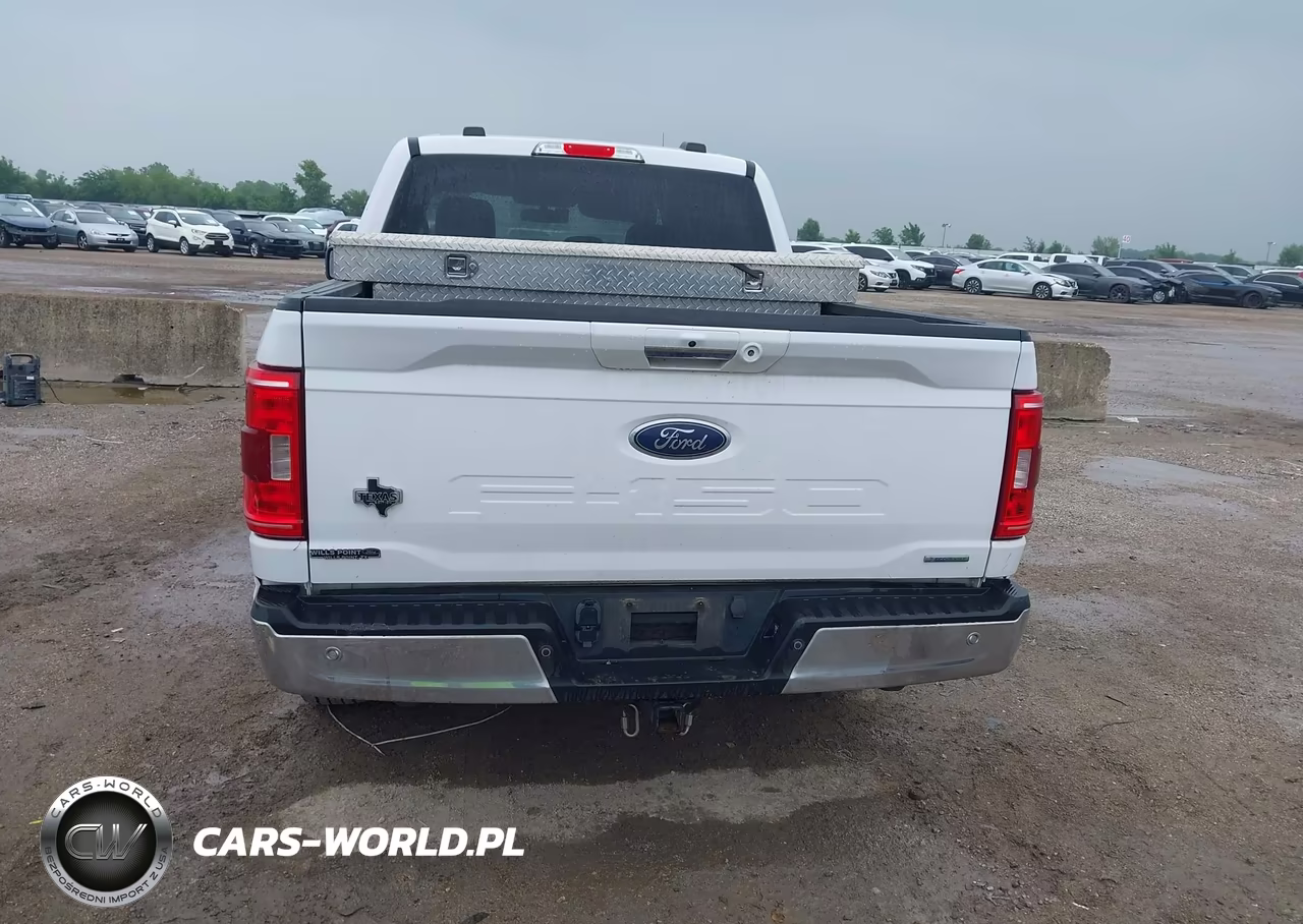 2021 Ford F-150 Xlt VIN:1FTEW1CP5MKD69210 - 17
