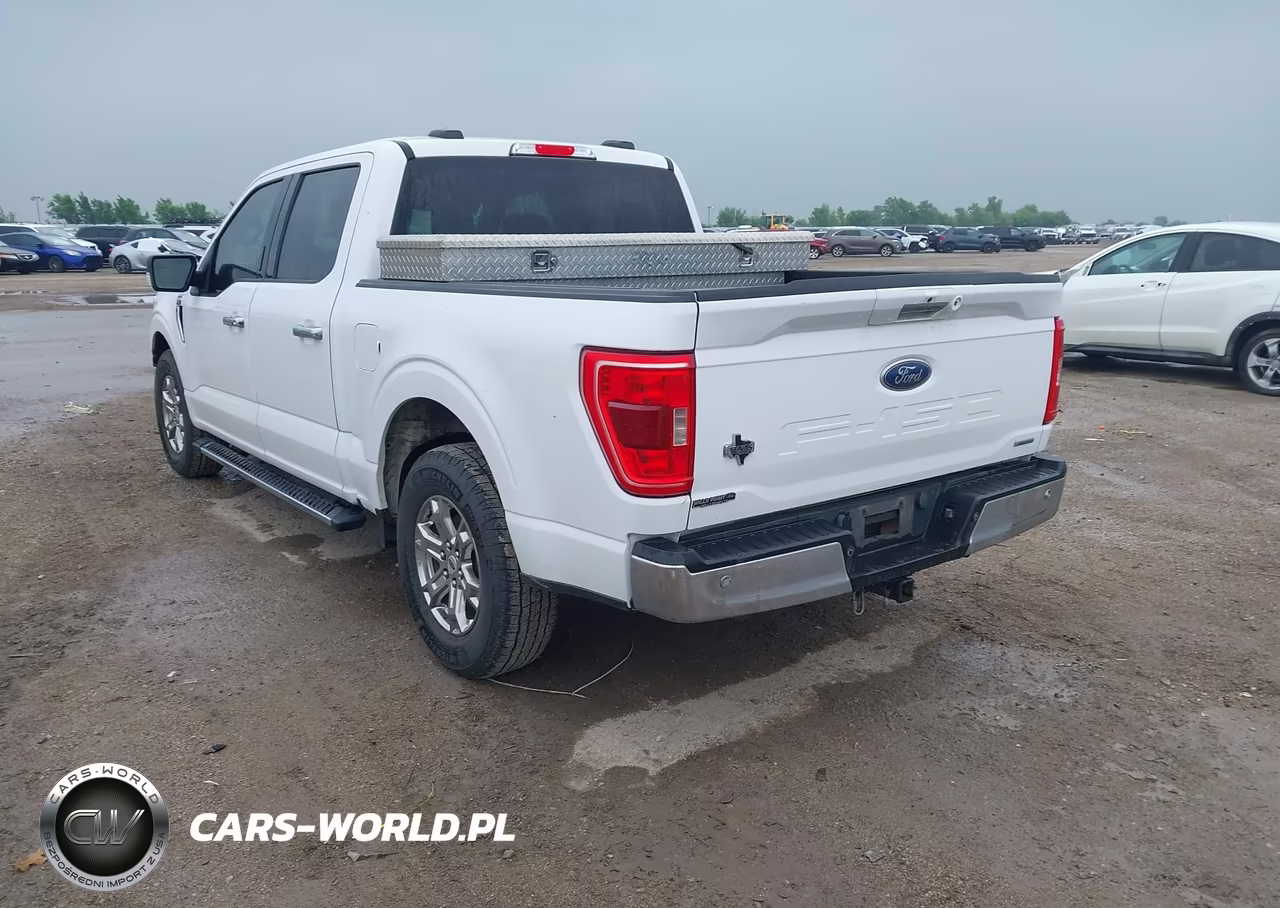 2021 Ford F-150 Xlt VIN:1FTEW1CP5MKD69210 - 3