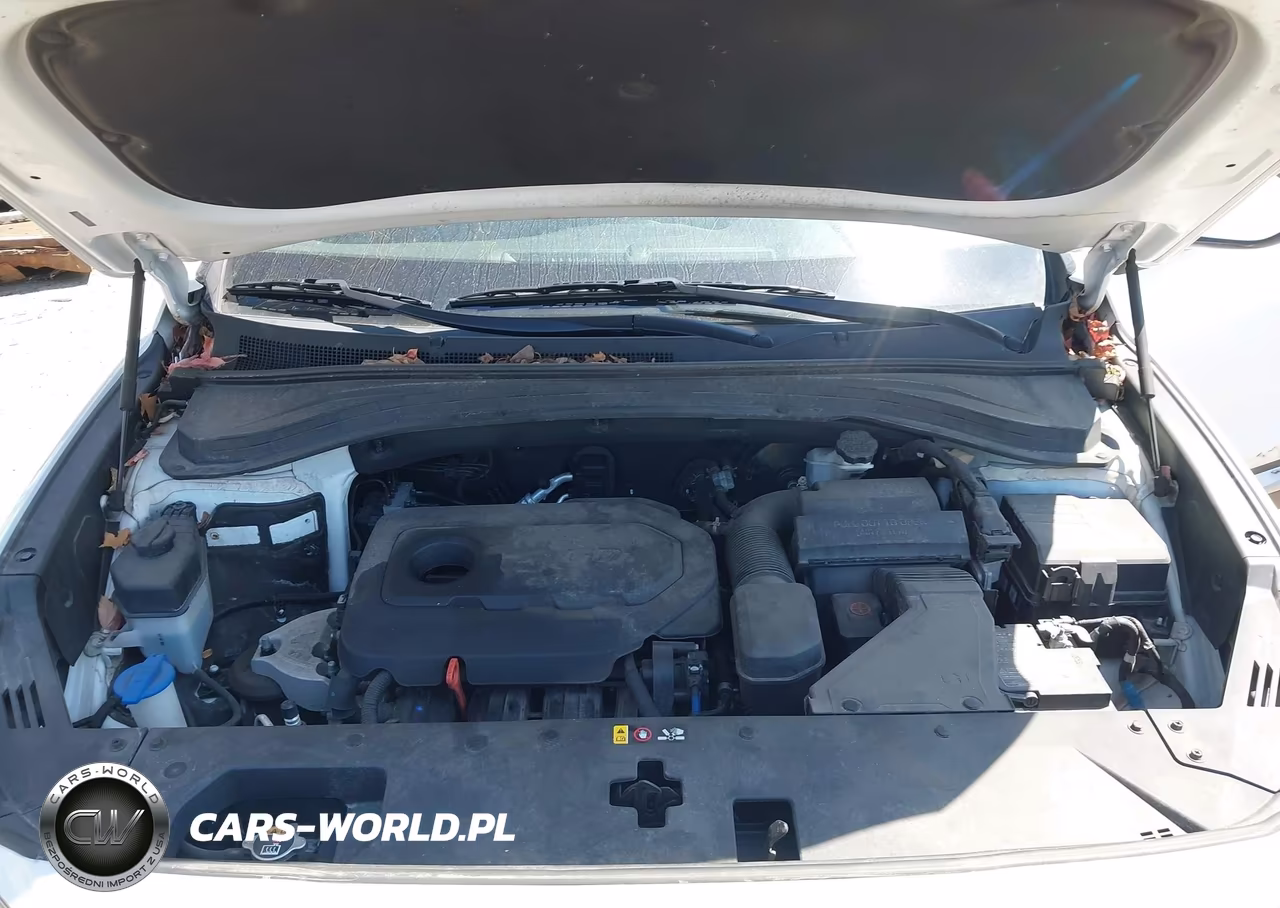 2020 Hyundai Santa Fe Sel VIN:5NMS3CAD2LH236303 - 10