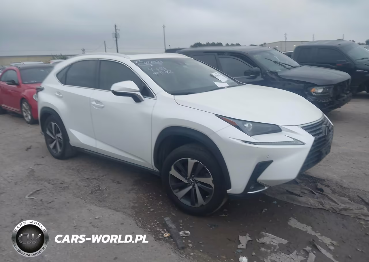 2019 Lexus Nx 300