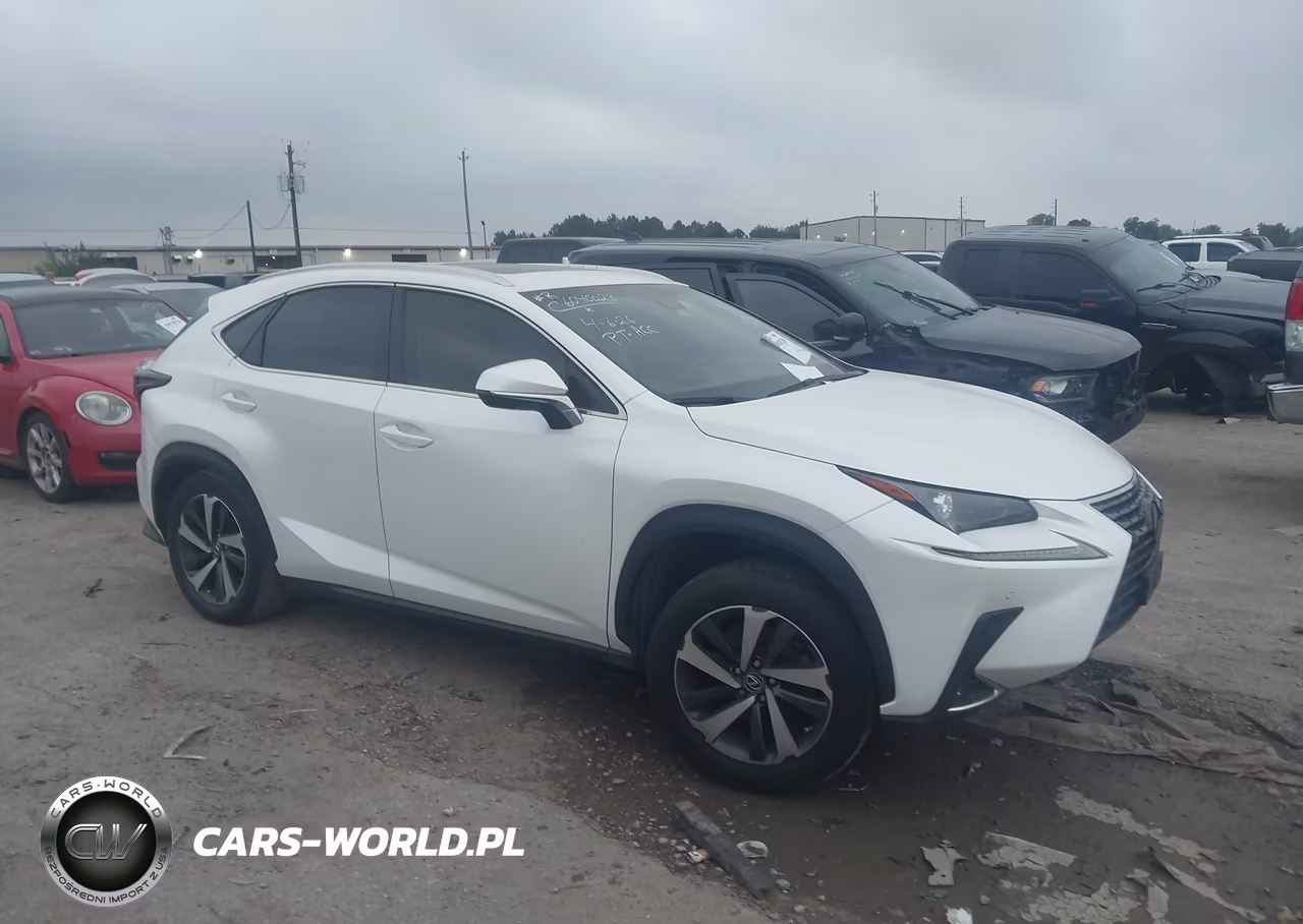 2019 Lexus Nx 300 VIN:JTJBARBZ1K2189185 - 13
