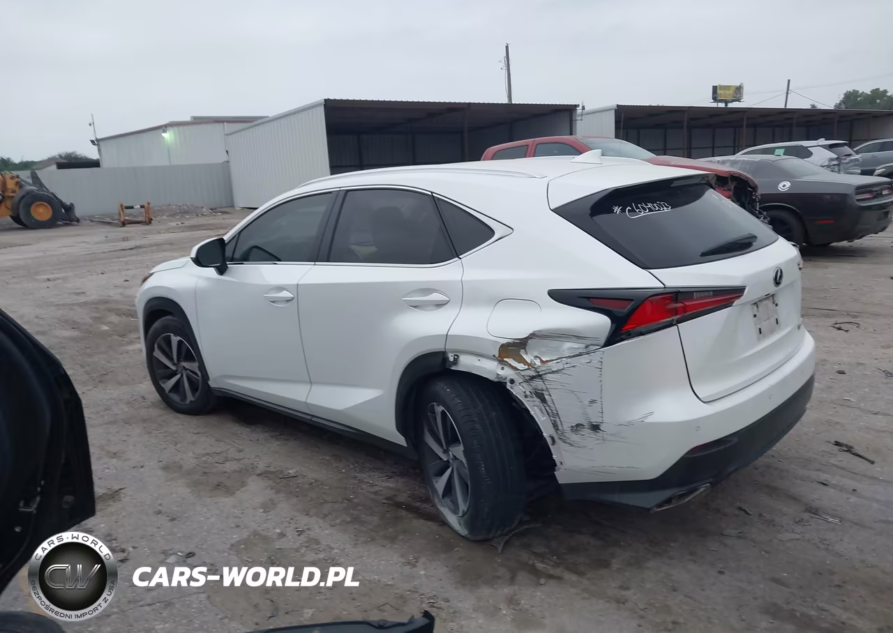 2019 Lexus Nx 300 VIN:JTJBARBZ1K2189185 - 14