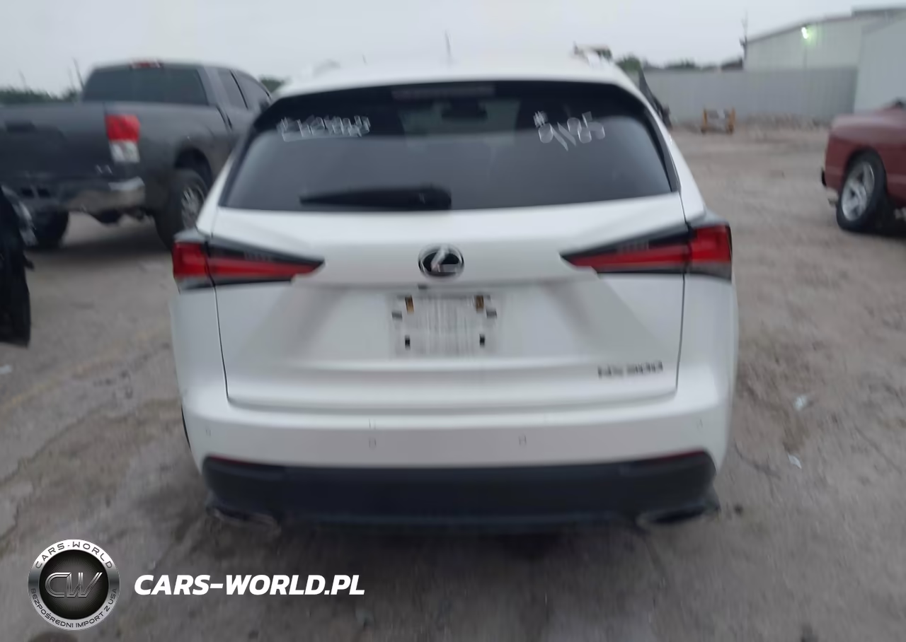 2019 Lexus Nx 300 VIN:JTJBARBZ1K2189185 - 16