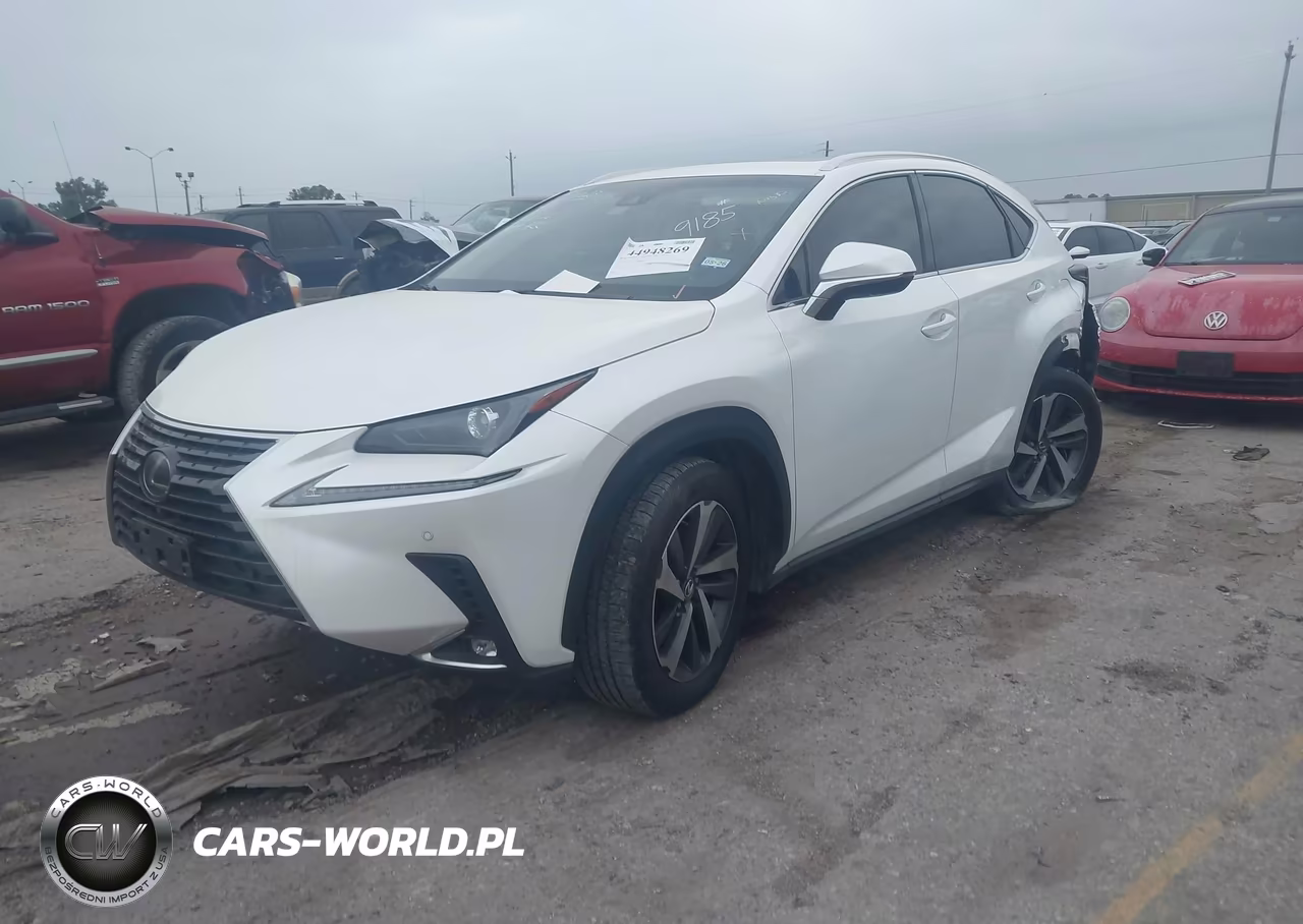 2019 Lexus Nx 300 VIN:JTJBARBZ1K2189185 - 2