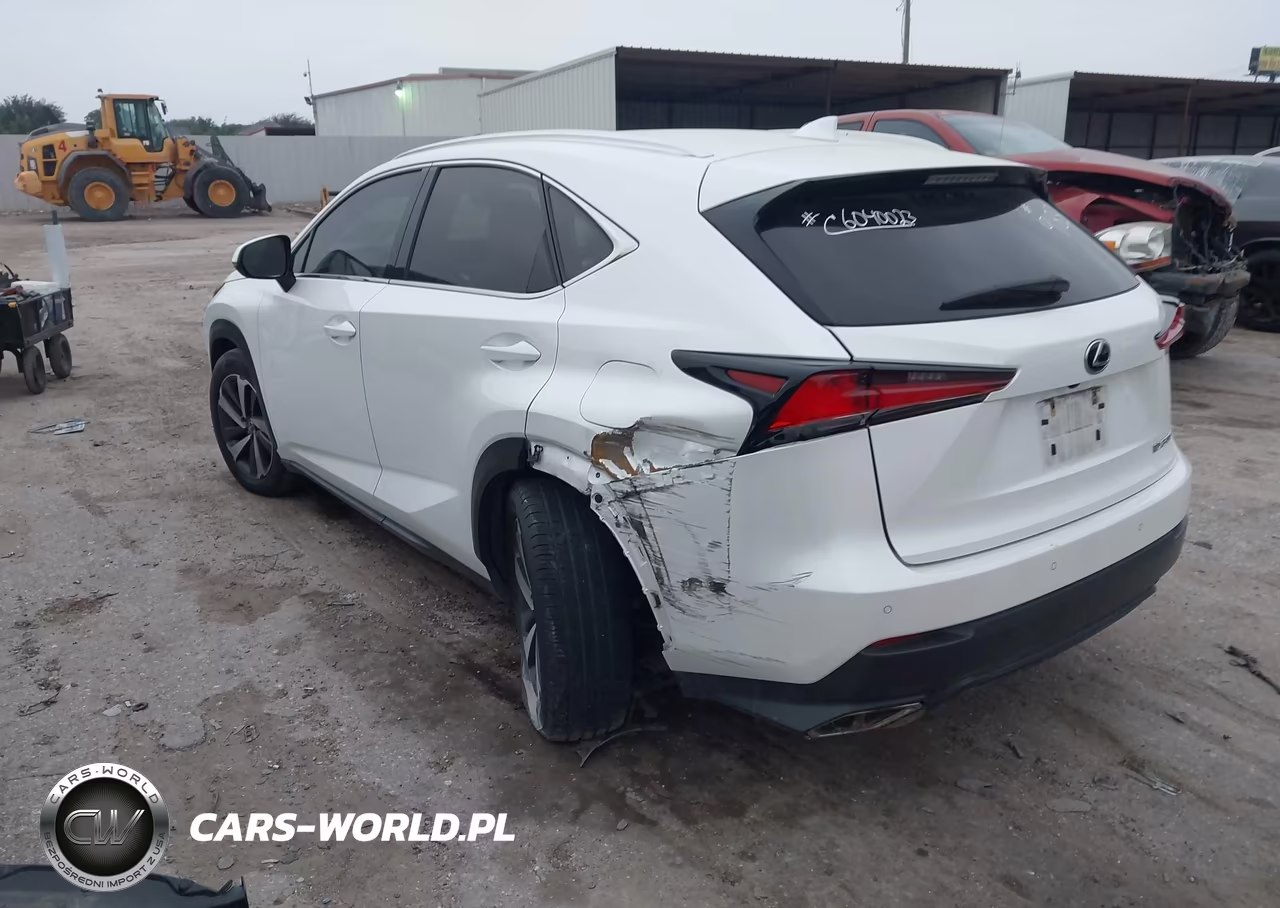 2019 Lexus Nx 300 VIN:JTJBARBZ1K2189185 - 3