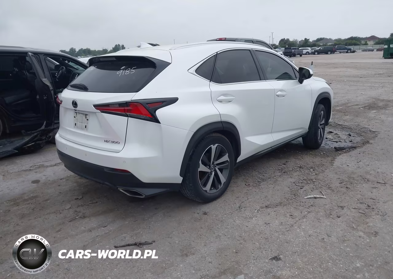 2019 Lexus Nx 300 VIN:JTJBARBZ1K2189185 - 4