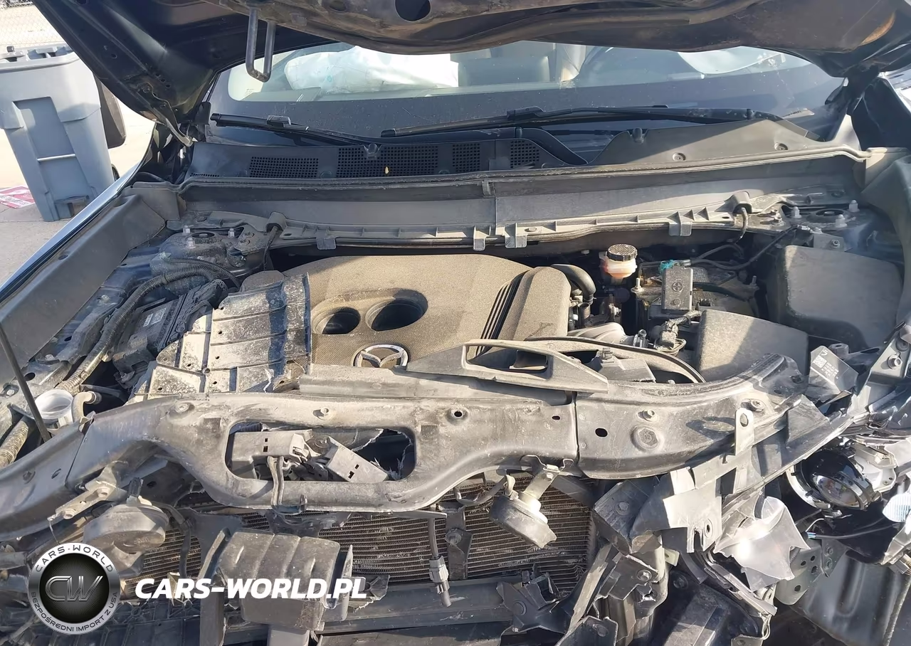 2018 Mazda Cx-9 Touring VIN:JM3TCBCY2J0204017 - 10