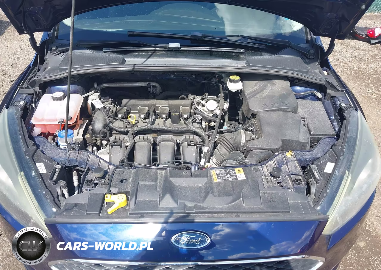 2017 Ford Focus Sel VIN:1FADP3H29HL243861 - 10