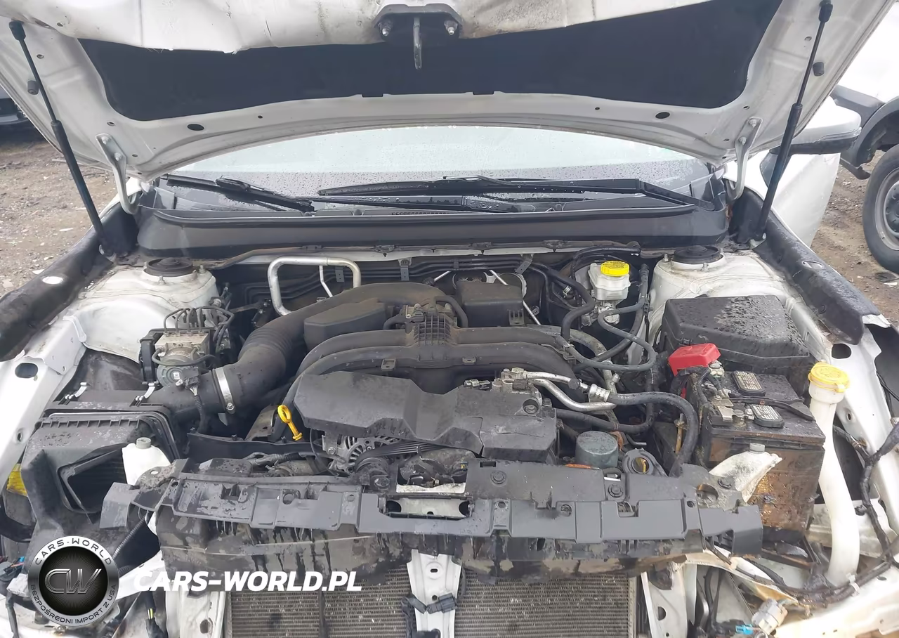 2019 Subaru Legacy 2.5I Sport VIN:4S3BNAS62K3031267 - 10