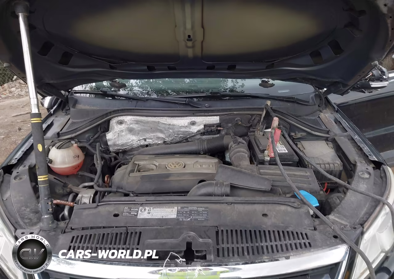 2011 Volkswagen Tiguan Se VIN:WVGAV7AX8BW500946 - 10