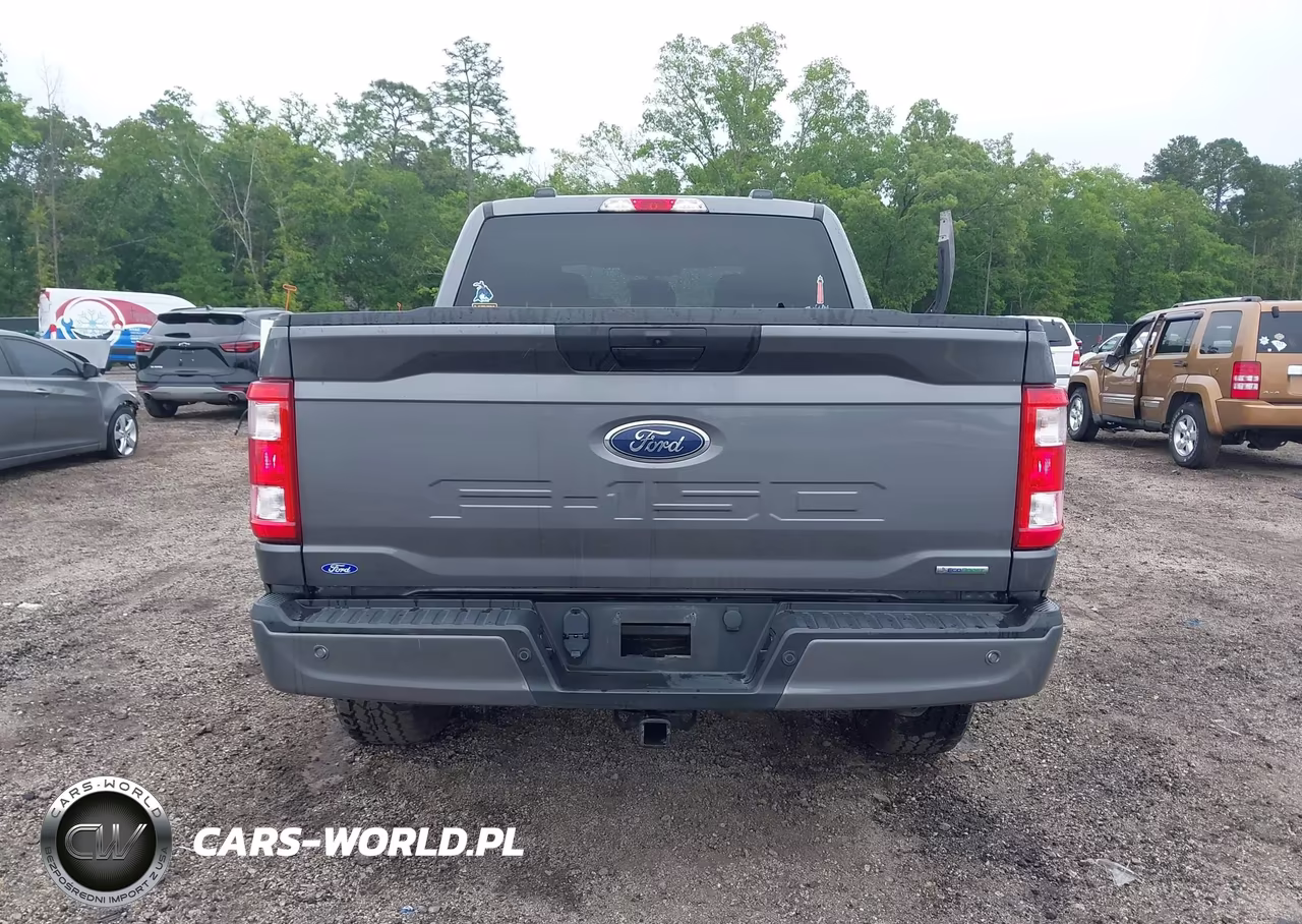 2021 Ford F-150 Xl VIN:1FTFW1E81MFC91706 - 17