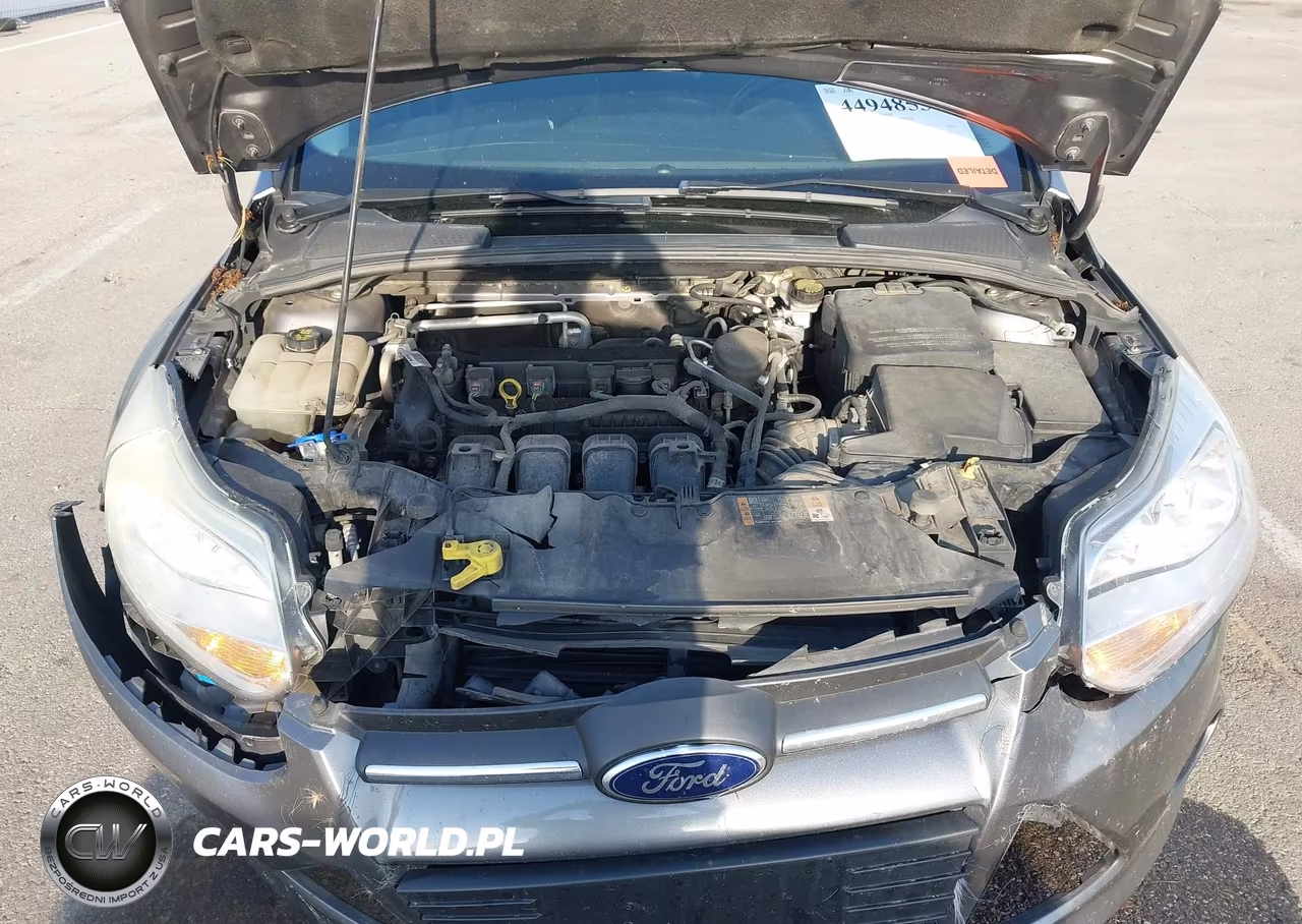 2014 Ford Focus Se VIN:1FADP3F23EL297624 - 10