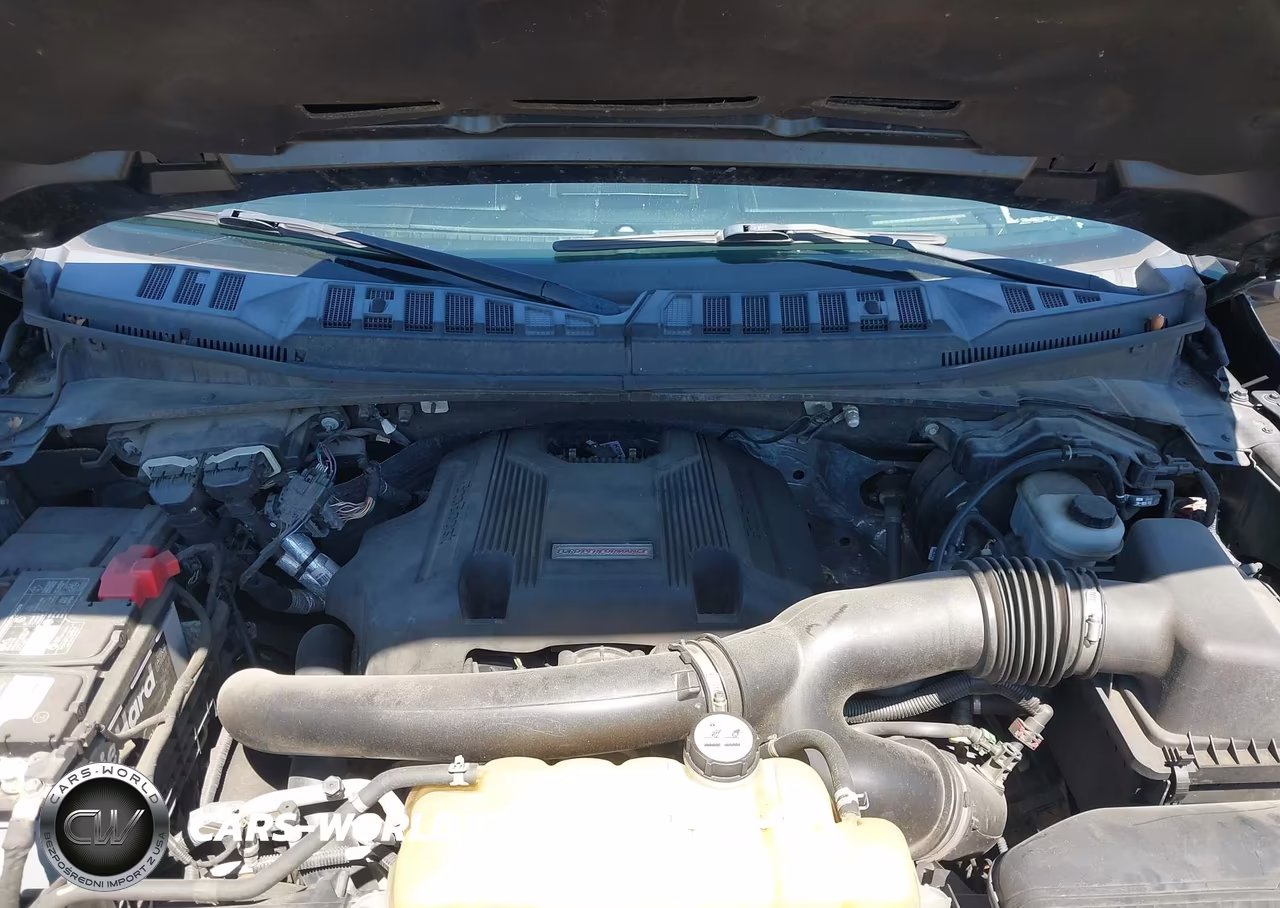 2018 Ford F-150 Raptor VIN:1FTFW1RG5JFC86294 - 10