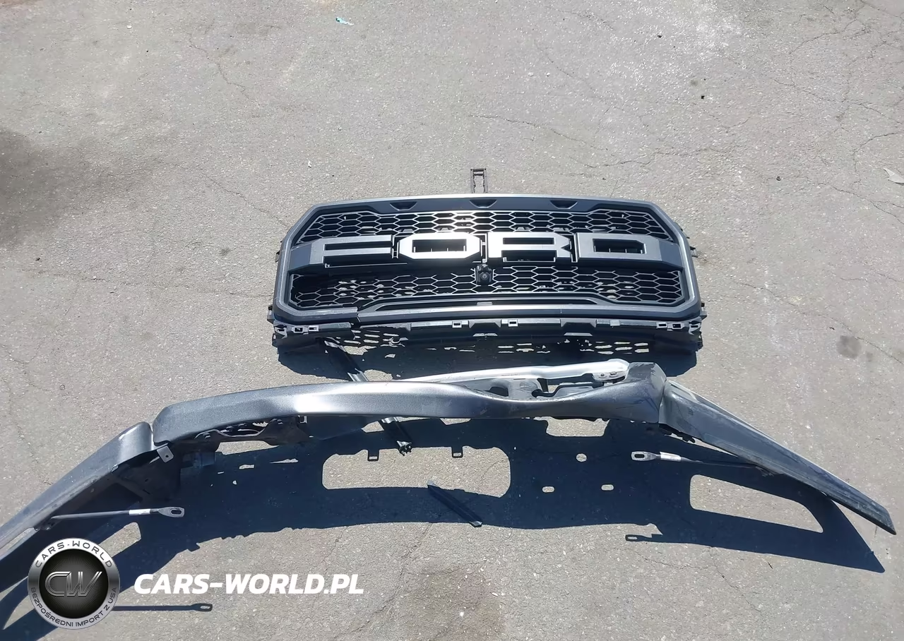 2018 Ford F-150 Raptor VIN:1FTFW1RG5JFC86294 - 12