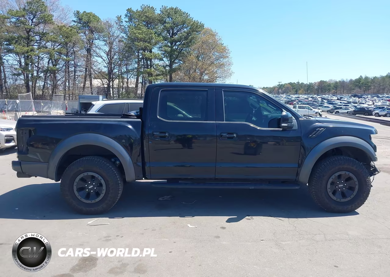 2018 Ford F-150 Raptor VIN:1FTFW1RG5JFC86294 - 14