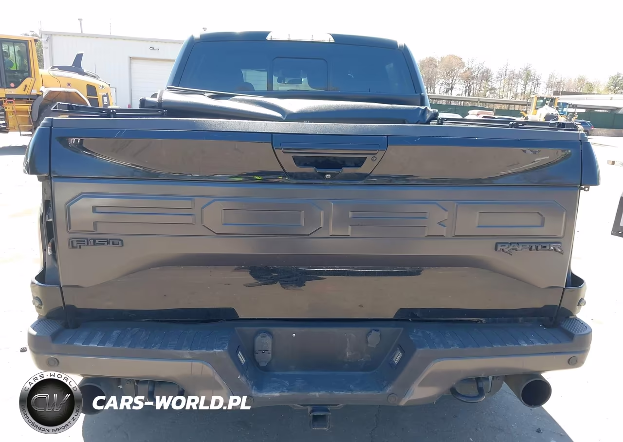 2018 Ford F-150 Raptor VIN:1FTFW1RG5JFC86294 - 17