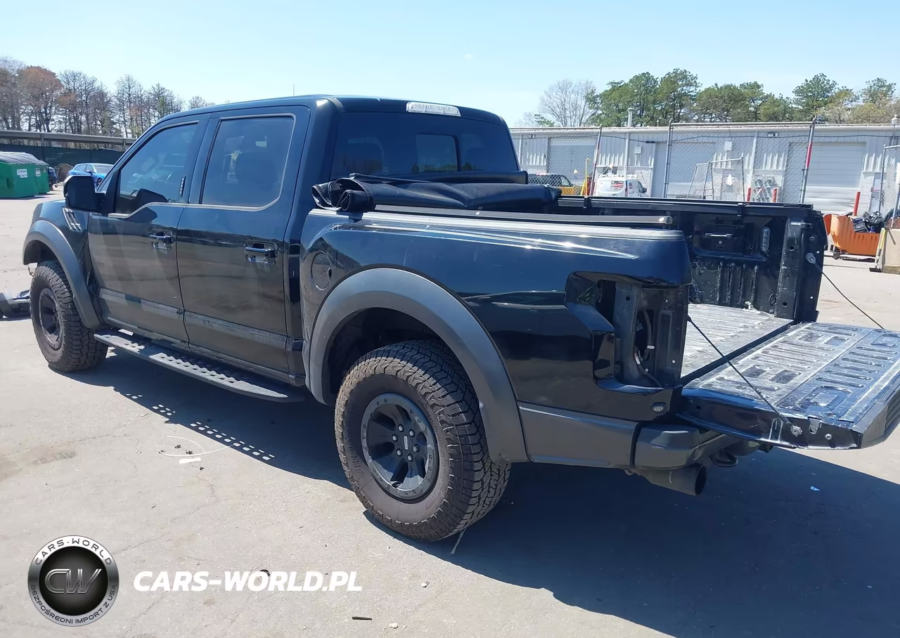 2018 Ford F-150 Raptor VIN:1FTFW1RG5JFC86294 - 3