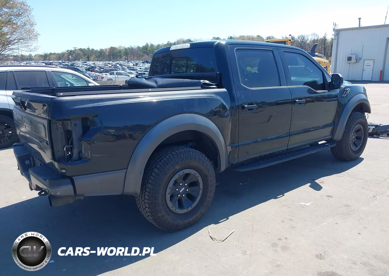 2018 Ford F-150 Raptor VIN:1FTFW1RG5JFC86294 - 4